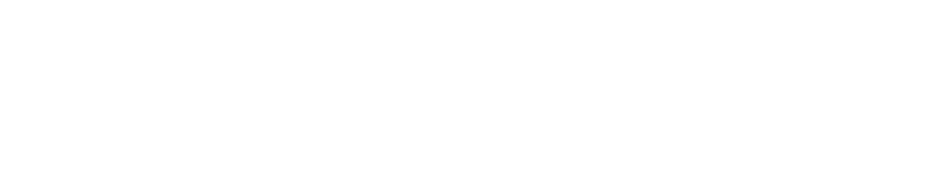 Einzelne weiße Linienzeichnung eines stilisierten Einkaufstaschen-Symbols neben dem Schriftzug 'shopifyplus'