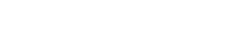Einzelne weiße Linienzeichnung eines stilisierten Einkaufstaschen-Symbols neben dem Schriftzug 'shopifyplus'